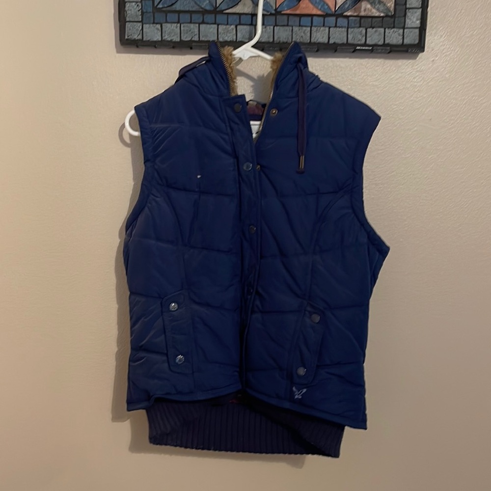 Blue vest with brown fur inside